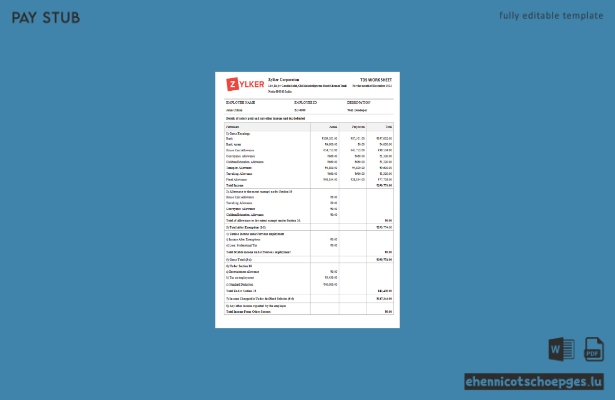 Beispielvorschau des indischen Softwareunternehmens Zylker Corporation